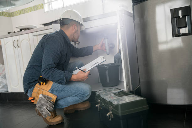 Best Plumbing Services Near Me  in De Soto, IA