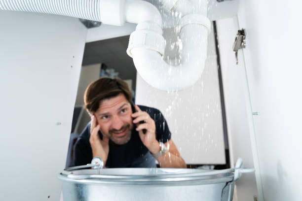 Best 24-Hour Plumber Near Me  in De Soto, IA