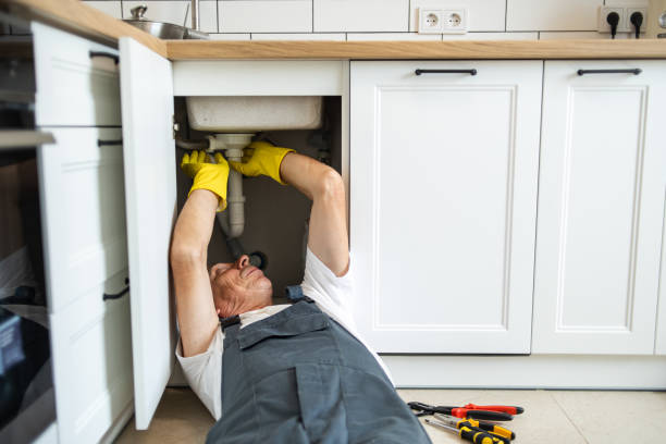Best Septic Systems  in De Soto, IA