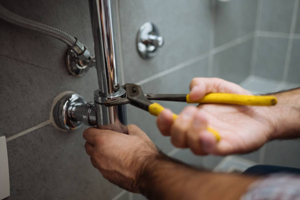Best Local Plumber Services  in De Soto, IA