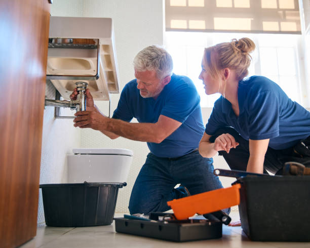 Best Sprinkler Systems  in De Soto, IA